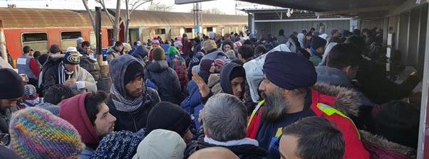 Giving Someone Warmth Through Langar- a hot meal